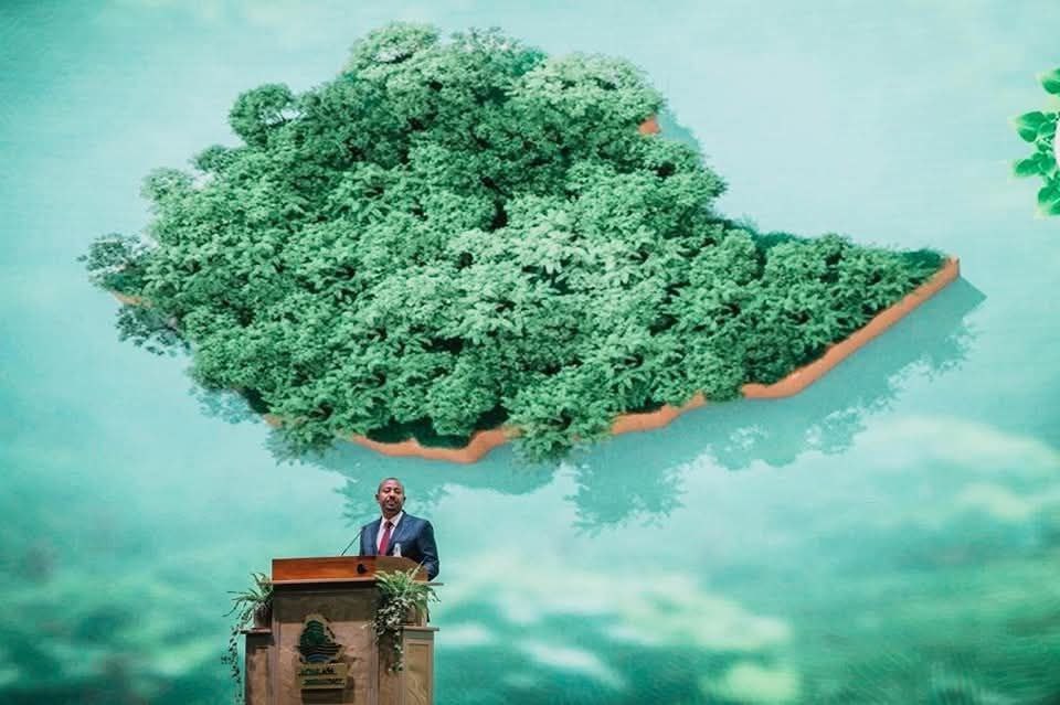 The Green Legacy Initiative: Strengthening the Safety and Sustainability of the GERD