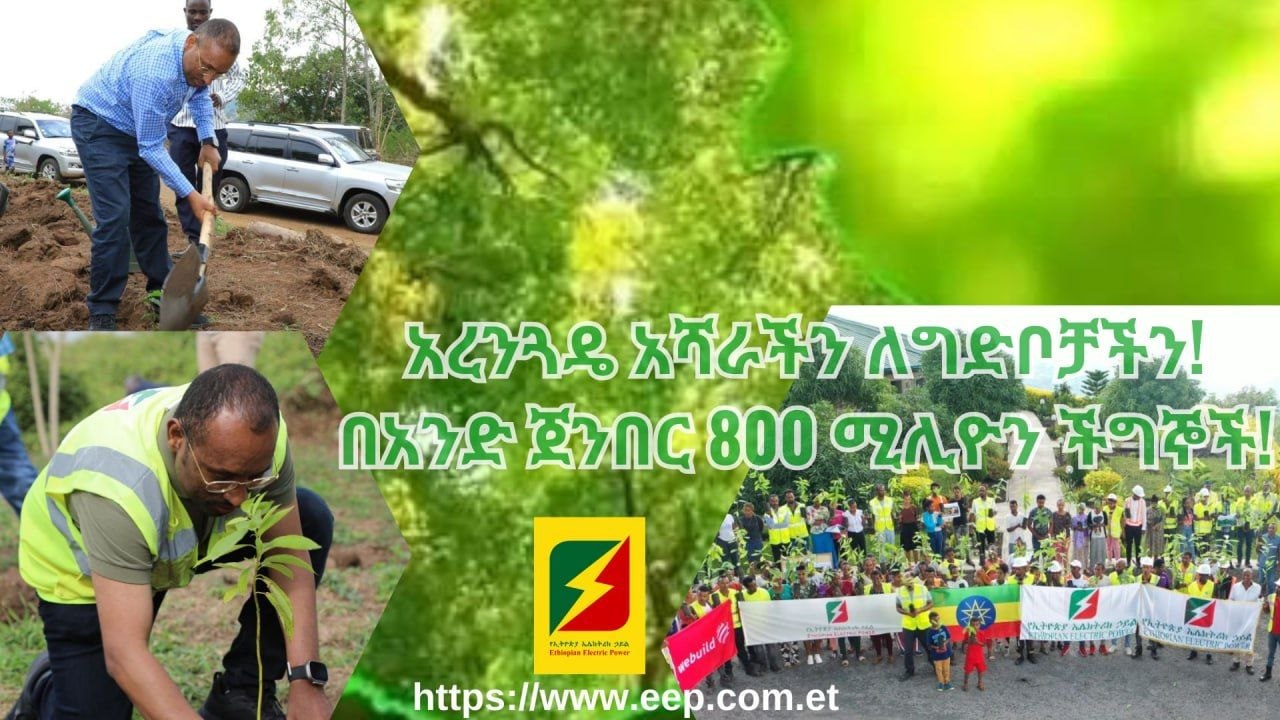 🌱 “#ተስፋን_እንትከል!” 🌱